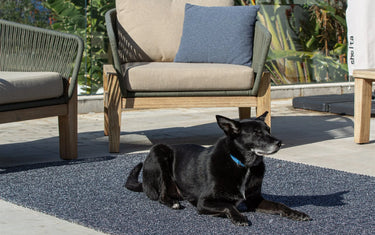 Get Holiday Ready: Save Big at Coppola Home Melbourne and Sydney Best Rug Shop - Coppola Home