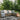 Positano Palm Reversible In&Outdoor Rug - Coppola Home