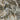 Cape Town Natural Forest Easy Care Rug - Coppola Home