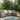 Positano Leaf Reversible In&Outdoor Rug - Coppola Home