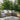 Positano Leaf Reversible In&Outdoor Rug - Coppola Home