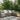 Positano Bloom Reversible In&Outdoor Rug - Coppola Home