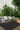 Positano Lines Reversible In&Outdoor Rug - Coppola Home