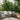 Positano Palm Reversible In&Outdoor Rug - Coppola Home