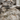 Cape Town Natural Forest Easy Care Rug